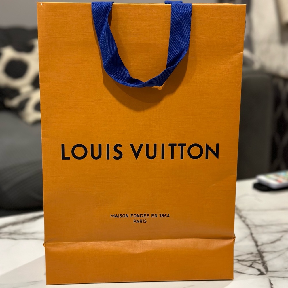 Louis Vuitton medium empty bag